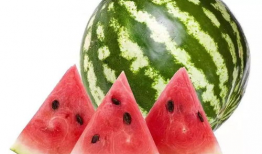 吃瓜网今日吃瓜 热门大瓜莫里秀,吃瓜网今日热门大瓜揭秘