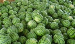 今日吃瓜扒一扒,吃瓜群众扒一扒娱乐圈最新八卦